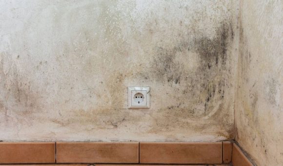 Parede interior com manchas de humidade e bolor à volta de uma tomada