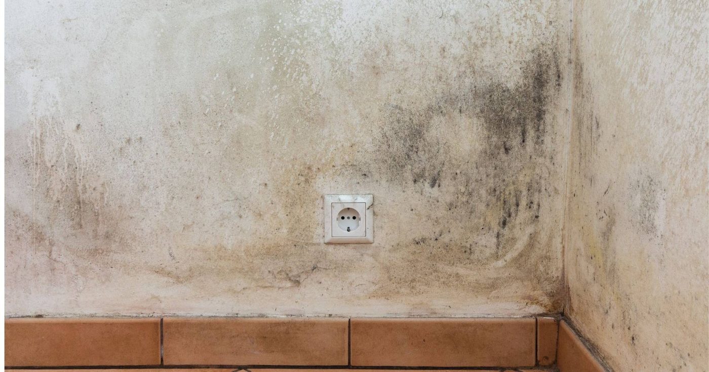 Parede interior com manchas de humidade e bolor à volta de uma tomada